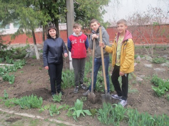 Акція «Посади дерево» продовжується