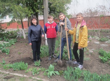 Акція «Посади дерево» продовжується